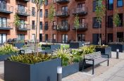 Large steel planters for shrubs and trees