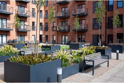 Large steel planters for shrubs and trees