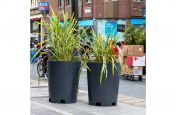 Conical street planters for shopping district