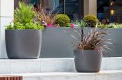 Planters for shopping development