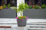 Waterside development round planters