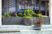 Planters for modern waterside development