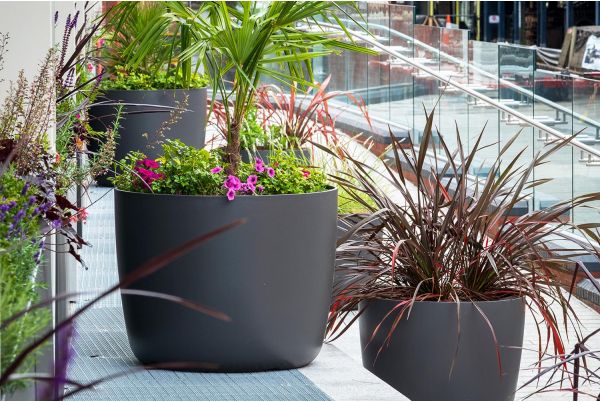 Large boulevard planters for retail development