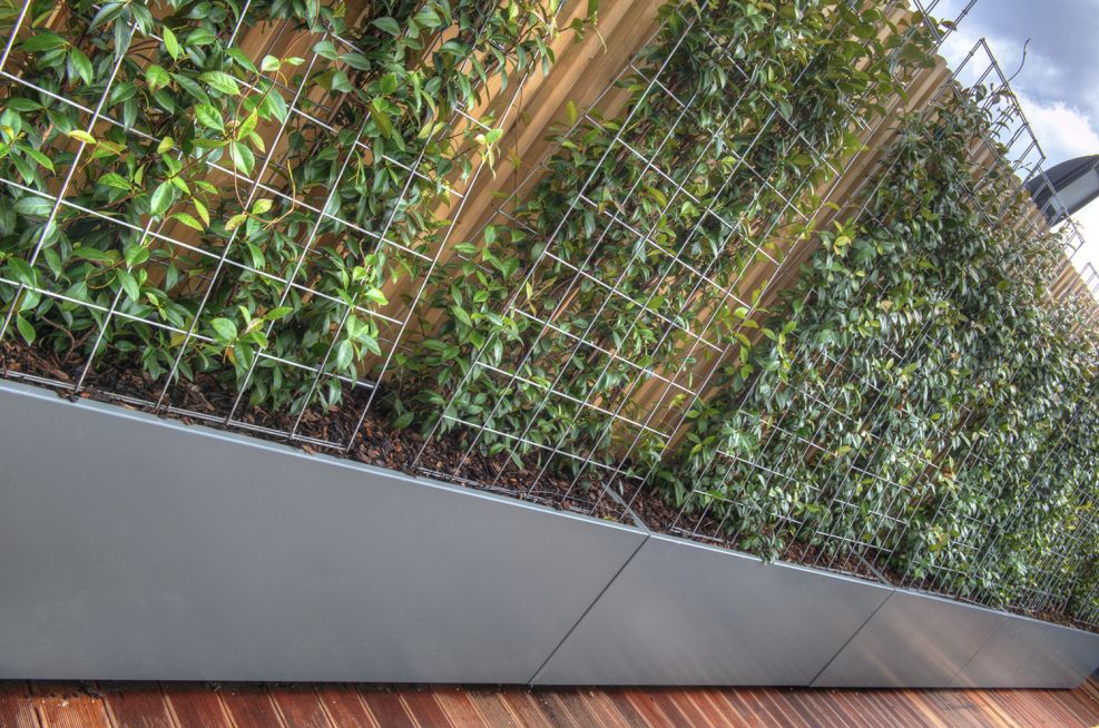 External Planters Made From Stainless Zintec Steel