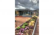 Thick Stainless Steel Bespoke Planters