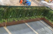 Speia Brown RAL 8014 Large Stainless Steel Powder Coated Planter