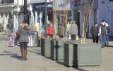 Steel tree planters in Cheltenham High Street