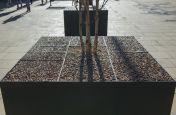 Steel Tree Planters Made By IOTA