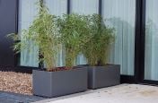 A Pair Of Boulevard Delta 45 Trough Planters