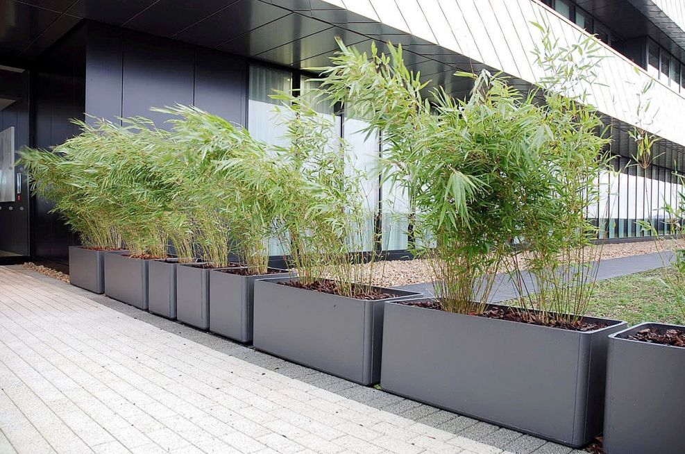 Delta 45 Square Planters and Trough Planters