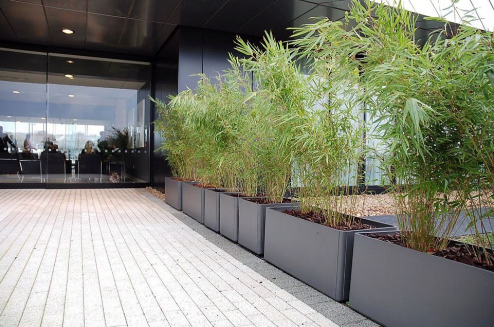 Delta 45 Trough Planters On The Northern Facade