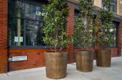 Bartholomew Close bronze tree planters