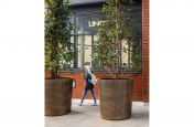 Large bronze planters in London