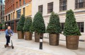 Large bronze conical planters for trees