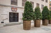 Public realm planters in bronze finish