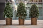 Large custom tree planters