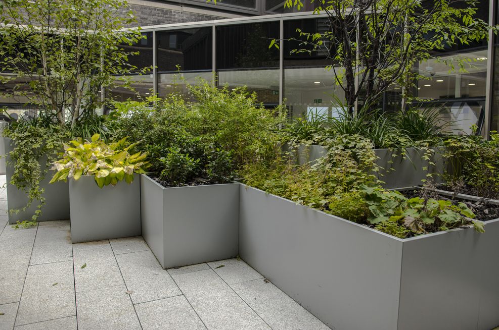 Steel planters for educational buildings