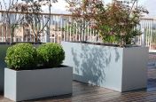 Bespoke Galvanised Steel Planters