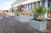 City Of Westminster College Galvianised Steel Planters