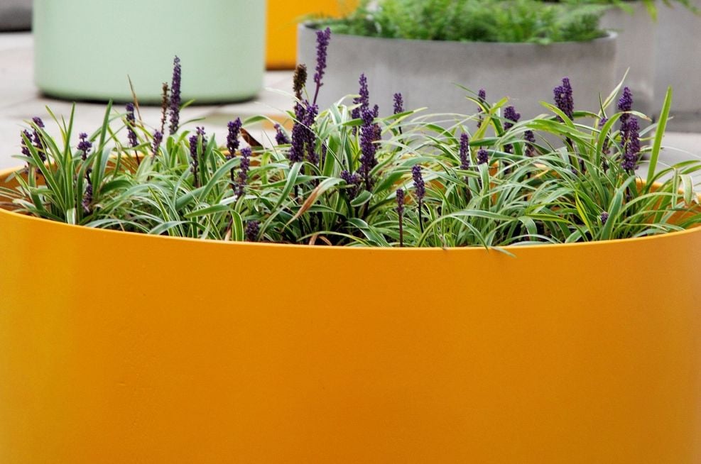 Boulevard Planters Of Custom, Colour At Kings College London