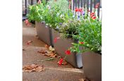 OSAKA Trough Planters At City University