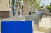 3mm Thick Steel Tree Planters