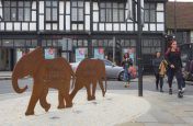 Colchester Town Centre Walking Route Planters