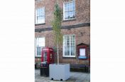 Tree planter for public spaces