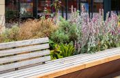 FSC timber and corten steel planter