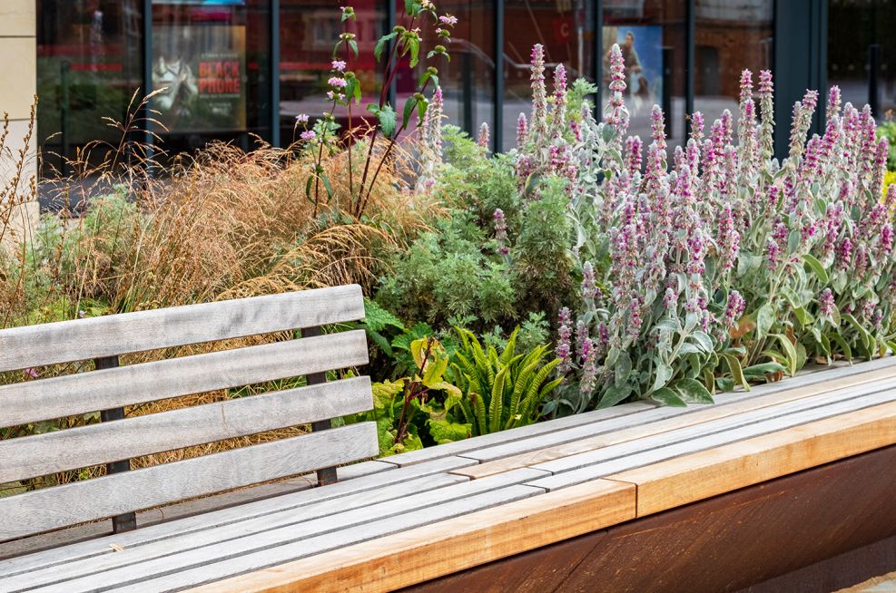 FSC timber and corten steel planter
