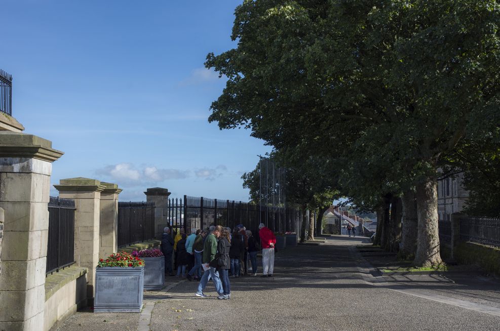Derry City and Strabane District Council Lead Planters