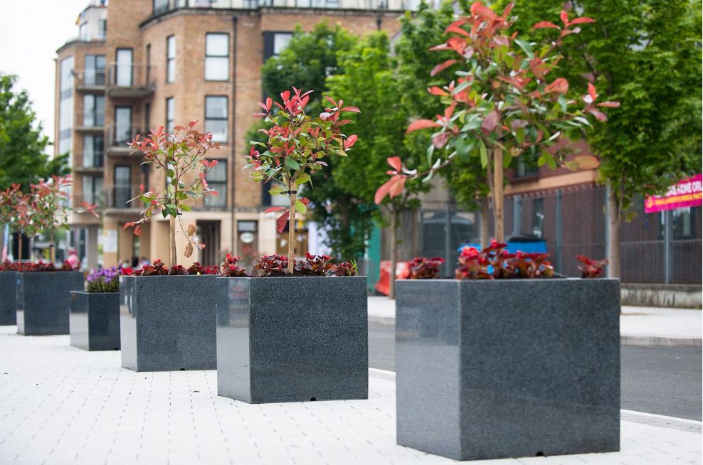 Derry City Council, N. Ireland Bespoke Granite Tree