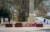 Commemorative poppy planters