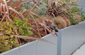 Matching trough steel planters