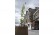 Steel Planters Made From Corten Steel