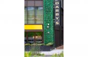 Darby's Restaurant Boundary Planters & Planting