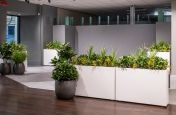 planters_for_interior_landscaping