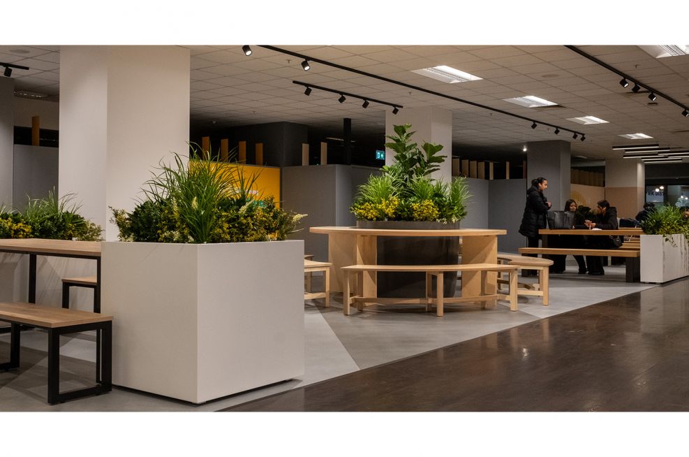 Decorating Ideas and Design - HGTV