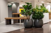 planters_for_interior_landscaping