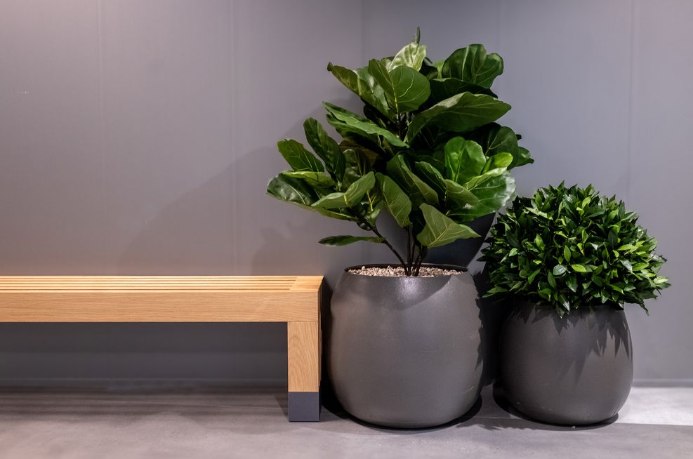 Using Planters to Achieve Your Favorite Interior Design Style