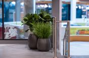 planters_for_interior_landscaping