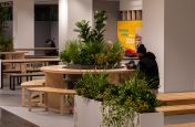 planters_for_interior_landscaping
