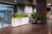 planters_for_interior_landscaping