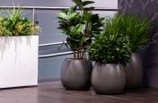 planters_for_interior_landscaping