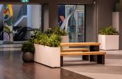 planters_for_interior_landscaping