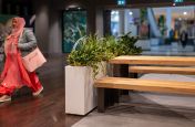 planters_for_interior_landscaping
