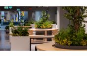 planters_for_interior_landscaping