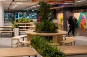 planters_for_interior_landscaping