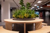 planters_for_interior_landscaping