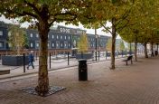 Dockside metal tree planters